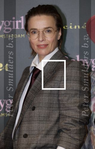 Amsterdam 25 november 2024
Premiere Babygirl in Tuschinski . Halina Reijn is de producente. Thekla Reuten kwam met Tommy Driessen