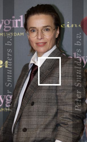 Amsterdam 25 november 2024
Premiere Babygirl in Tuschinski . Halina Reijn is de producente. Thekla Reuten kwam met Tommy Driessen