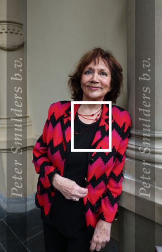 Doorn 16 november 2024
Presentatie cd Box van Anneke Gronloh. Therese Steinmetz