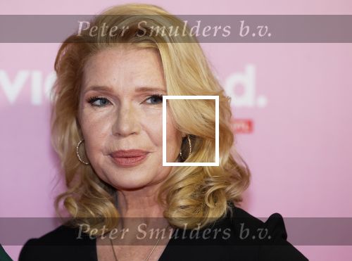 Amsterdam 22 oktober 2024
Premiere Gooische vrouwen in het DeLaMar theater. Tjitske Reidinga