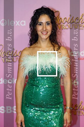 Amsterdam 22 oktober 2024
Premiere Gooische vrouwen in het DeLaMar theater. Toprak Yalciner