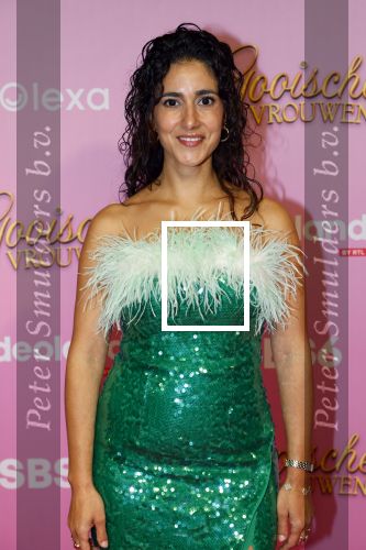 Amsterdam 22 oktober 2024
Premiere Gooische vrouwen in het DeLaMar theater. Toprak Yalciner