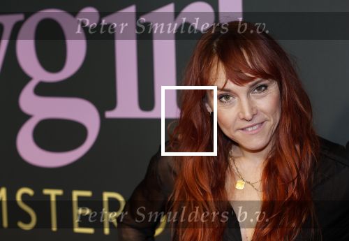 Amsterdam 25 november 2024
Premiere Babygirl in Tuschinski . Halina Reijn is de producente. Wende Snijders
