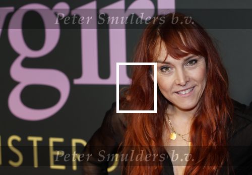 Amsterdam 25 november 2024
Premiere Babygirl in Tuschinski . Halina Reijn is de producente. Wende Snijders