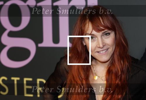 Amsterdam 25 november 2024
Premiere Babygirl in Tuschinski . Halina Reijn is de producente. Wende Snijders