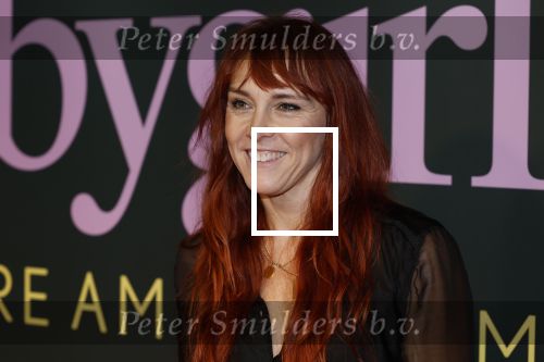 Amsterdam 25 november 2024
Premiere Babygirl in Tuschinski . Halina Reijn is de producente. Wende Snijders