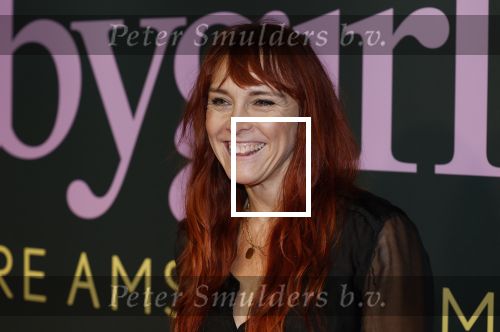 Amsterdam 25 november 2024
Premiere Babygirl in Tuschinski . Halina Reijn is de producente. Wende Snijders