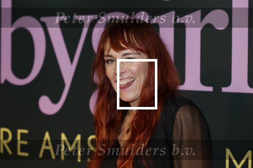 Amsterdam 25 november 2024
Premiere Babygirl in Tuschinski . Halina Reijn is de producente. Wende Snijders