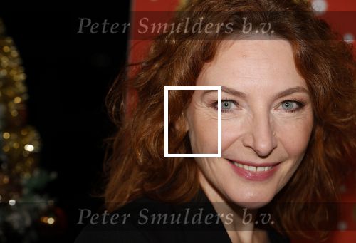 Amsterdam 5 november 2024
Presentatie cast Santa Claus is comeing to town in het ziggo dome . Aanwezige cast Willemijn Verkaik Dominique v Hulst (Zangeres Do) Noortje Herlaar Buddy Vedder en Frank Lammers als kerstman .