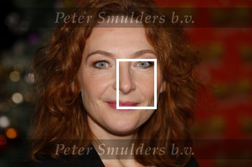 Amsterdam 5 november 2024
Presentatie cast Santa Claus is comeing to town in het ziggo dome . Aanwezige cast Willemijn Verkaik Dominique v Hulst (Zangeres Do) Noortje Herlaar Buddy Vedder en Frank Lammers als kerstman .
