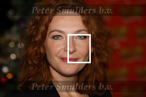 Amsterdam 5 november 2024
Presentatie cast Santa Claus is comeing to town in het ziggo dome . Aanwezige cast Willemijn Verkaik Dominique v Hulst (Zangeres Do) Noortje Herlaar Buddy Vedder en Frank Lammers als kerstman .
