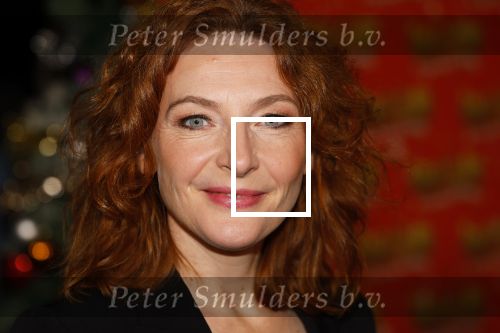Amsterdam 5 november 2024
Presentatie cast Santa Claus is comeing to town in het ziggo dome . Aanwezige cast Willemijn Verkaik Dominique v Hulst (Zangeres Do) Noortje Herlaar Buddy Vedder en Frank Lammers als kerstman .