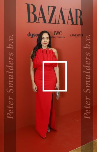 Amsterdam 5 november 2024
Feestje Harpers Bazaar in hotel l\
