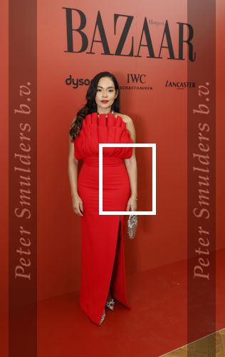 Amsterdam 5 november 2024
Feestje Harpers Bazaar in hotel l\