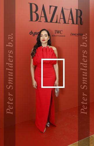 Amsterdam 5 november 2024
Feestje Harpers Bazaar in hotel l\