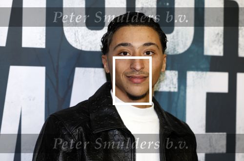 Amsterdam 5 november 2024
Premiere Videoland van  Mocro mafia in Tuschinski.  Yassine Chigri