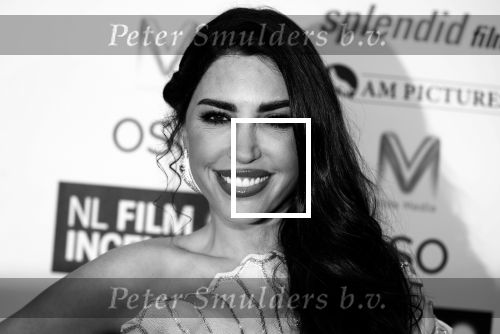 Nieuwegein 19 november 2024
Opnames films Perfectly imperfect met oa Yolanthe Cabau v Kasbergen Thijs Boermans Nicolette v Dam en Oscar aerts .