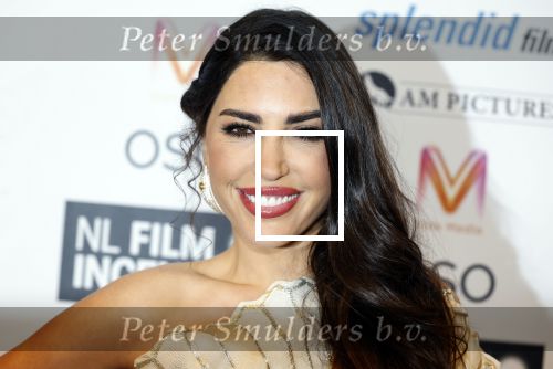 Nieuwegein 19 november 2024
Opnames films Perfectly imperfect met oa Yolanthe Cabau v Kasbergen Thijs Boermans Nicolette v Dam en Oscar aerts .