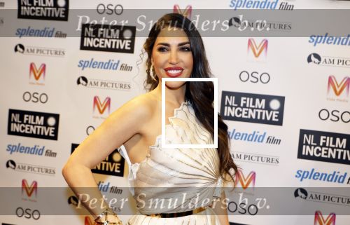 Nieuwegein 19 november 2024
Opnames films Perfectly imperfect met oa Yolanthe Cabau v Kasbergen Thijs Boermans Nicolette v Dam en Oscar aerts .