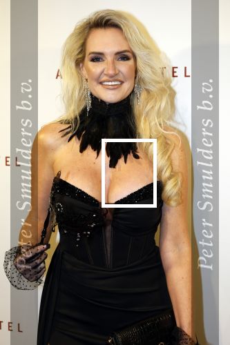 Amsterdam 26 november 2025
Olcay Gulsen geeft een groot feest ( Gemaskerd bal) in het Amstel Hotel. Angela v d Brink