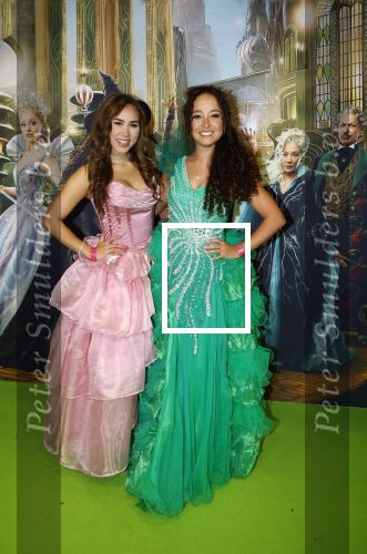 Amsterdam 18 november 2025
Premiere Wicked in het deLaMar theater . Anique Dreamon Jill Tjin
