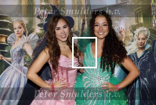 Amsterdam 18 november 2025
Premiere Wicked in het deLaMar theater . Anique Dreamon Jill Tjin