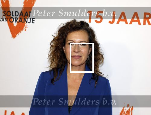 Leiden 30 oktober 2025
15 jaar de musical soldaat v Oranje . Anne Lamsvelt