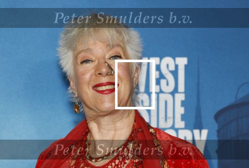 Rotterdam 23 november 2025
Premiere West side story in het nieuwe luxor. Anne-Rose Bantziger