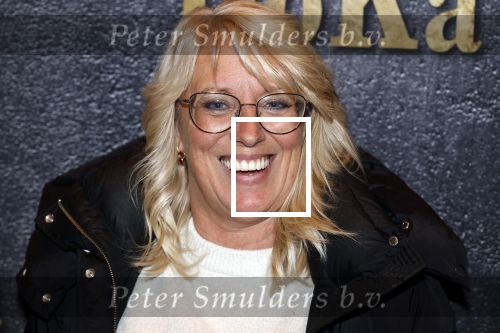 Baarn 29 oktober 2025
Premiere William Rutten in theater de Speeldoos. Anneke Janssen