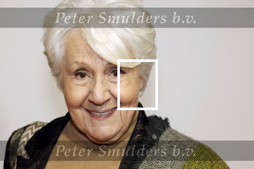 Leiden 30 oktober 2025
15 jaar de musical soldaat v Oranje . Annewil Blankers met kleindochter