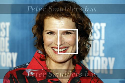 Rotterdam 23 november 2025
Premiere West side story in het nieuwe luxor. Anouk v Nes kwam met haar partner