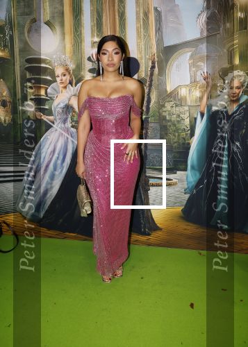 Amsterdam 18 november 2025
Premiere Wicked in het deLaMar theater . April darby