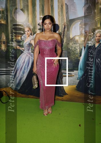 Amsterdam 18 november 2025
Premiere Wicked in het deLaMar theater . April darby