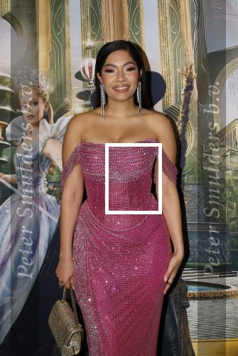 Amsterdam 18 november 2025
Premiere Wicked in het deLaMar theater . April darby