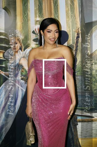 Amsterdam 18 november 2025
Premiere Wicked in het deLaMar theater . April darby