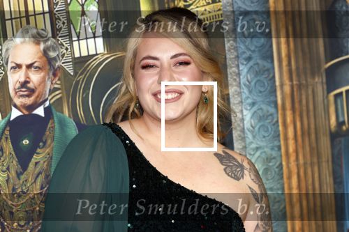 Amsterdam 18 november 2025
Premiere Wicked in het deLaMar theater . Arianne elizabeth Mulder