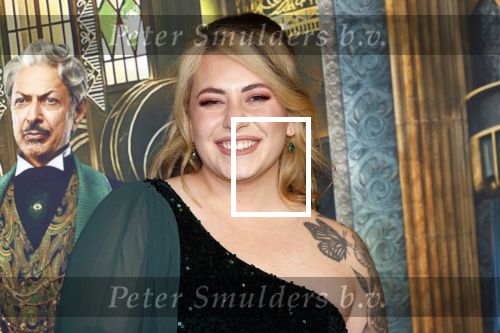 Amsterdam 18 november 2025
Premiere Wicked in het deLaMar theater . Arianne elizabeth Mulder