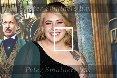 Amsterdam 18 november 2025
Premiere Wicked in het deLaMar theater . Arianne elizabeth Mulder
