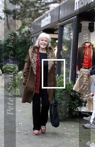 Laren 29 november 2025
Astrid Engels op straat in het centrum van Laren