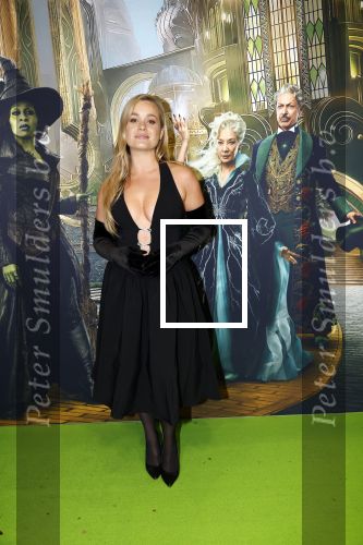 Amsterdam 18 november 2025
Premiere Wicked in het deLaMar theater . carola Kirschbaum met partner Koen Weiland