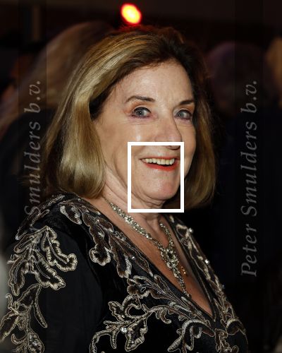 Rotterdam 23 november 2025
Premiere West side story in het nieuwe luxor. Catherine Keyl