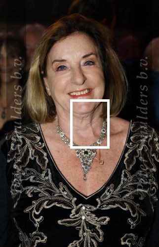 Rotterdam 23 november 2025
Premiere West side story in het nieuwe luxor. Catherine Keyl