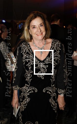 Rotterdam 23 november 2025
Premiere West side story in het nieuwe luxor. Catherine Keyl