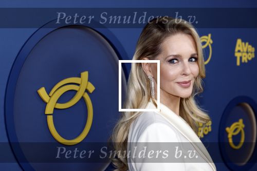 Amsterdam 16 oktober 2025
Uitreiking televizierring 2025 in carre .
Chantal Janzen