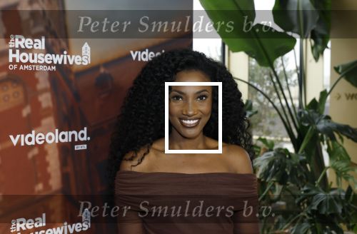 Amsterdam 11 november 2025
Presentatie real housewives of Amsterdam in het W hotel.
Aanwezig Niama Amhali Renee Vervoorn Cherry Ann Person Lilian Dziedzic Kimmylien Nguyen Djamila Celina en Elvira Penthesilea.