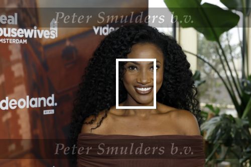 Amsterdam 11 november 2025
Presentatie real housewives of Amsterdam in het W hotel.
Aanwezig Niama Amhali Renee Vervoorn Cherry Ann Person Lilian Dziedzic Kimmylien Nguyen Djamila Celina en Elvira Penthesilea.