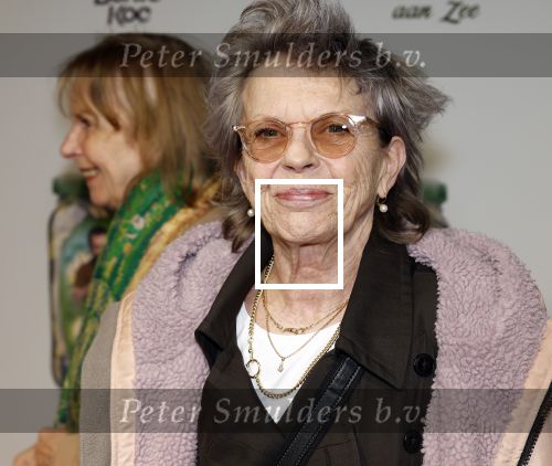 Amsterdam 4 november 2025
Premiere Augurk aan zee in Tuschinski met de cast die bestaat uit oa Monic Hendrickx Martin v Waardenberg Olga Zuiderhoek Jelka v Houten Frank Lammers Peter v d Begin en Tibor Lukacs. Robert v Hemert heeft de titelsong geschreven . Connie Palmen