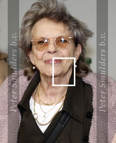 Amsterdam 4 november 2025
Premiere Augurk aan zee in Tuschinski met de cast die bestaat uit oa Monic Hendrickx Martin v Waardenberg Olga Zuiderhoek Jelka v Houten Frank Lammers Peter v d Begin en Tibor Lukacs. Robert v Hemert heeft de titelsong geschreven . Connie Palmen
