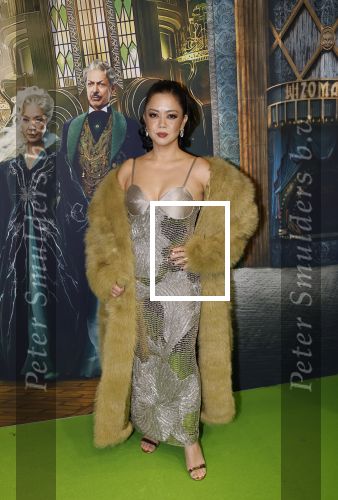 Amsterdam 18 november 2025
Premiere Wicked in het deLaMar theater . Cystine Carreon kwam met haar kinderen