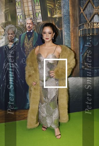 Amsterdam 18 november 2025
Premiere Wicked in het deLaMar theater . Cystine Carreon kwam met haar kinderen